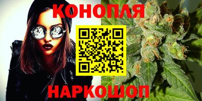 mdpv Новозыбков