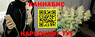 стаф Новодвинск