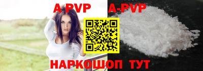 гашик Новокубанск