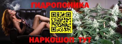 гашик Новокубанск