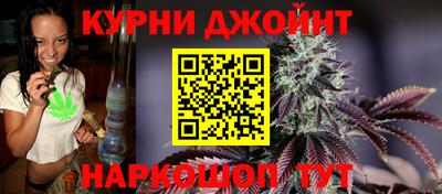 стаф Новодвинск