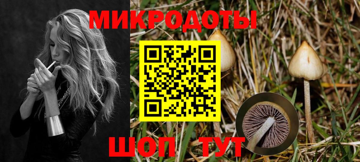 Галлюциногенные грибы Psilocybine cubensis Ступино