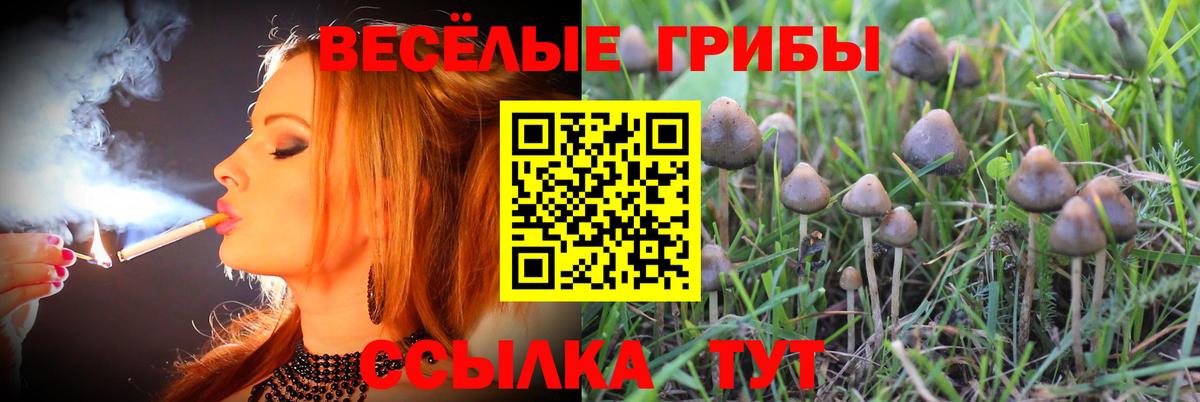 Галлюциногенные грибы ЛСД  Вход с VPN  Псилоцибиновые грибы прущие грибы  закладка  Ступино 